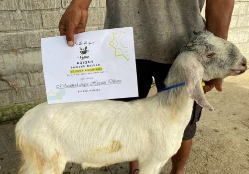 catering aqiqah murah dan praktis di lombok